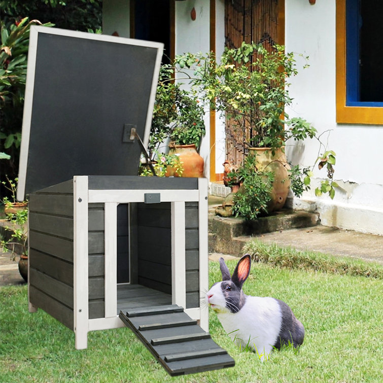 Indoor top bunny houses